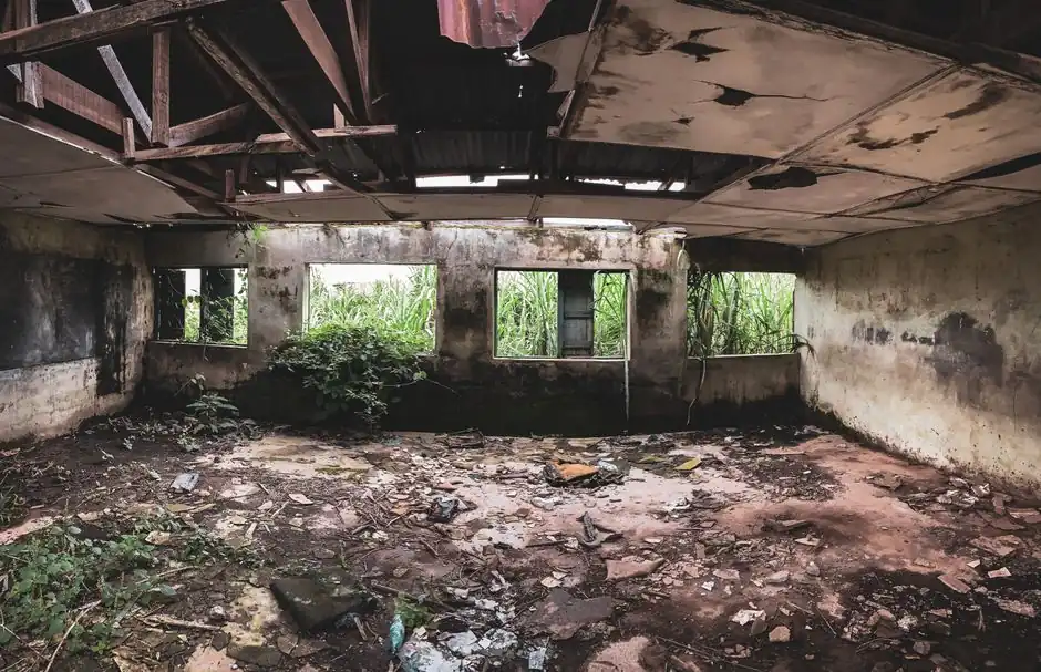 Interior of a decaying, abandoned building with vegetation growing inside and visible structural damage.