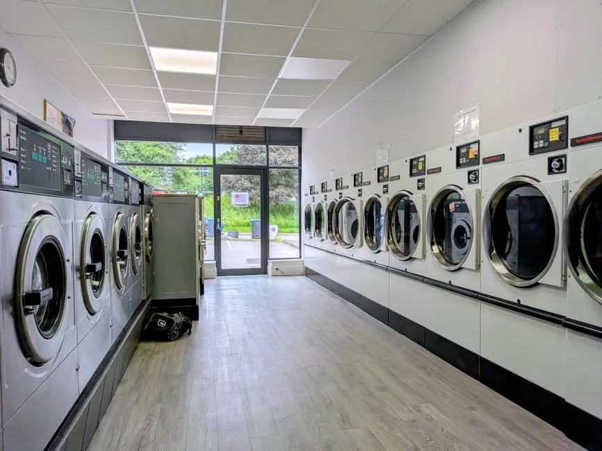 Spacious and clean laundromat with rows of washing machines, view of greenery outside.